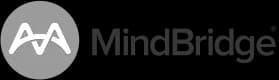 „MindBridge“